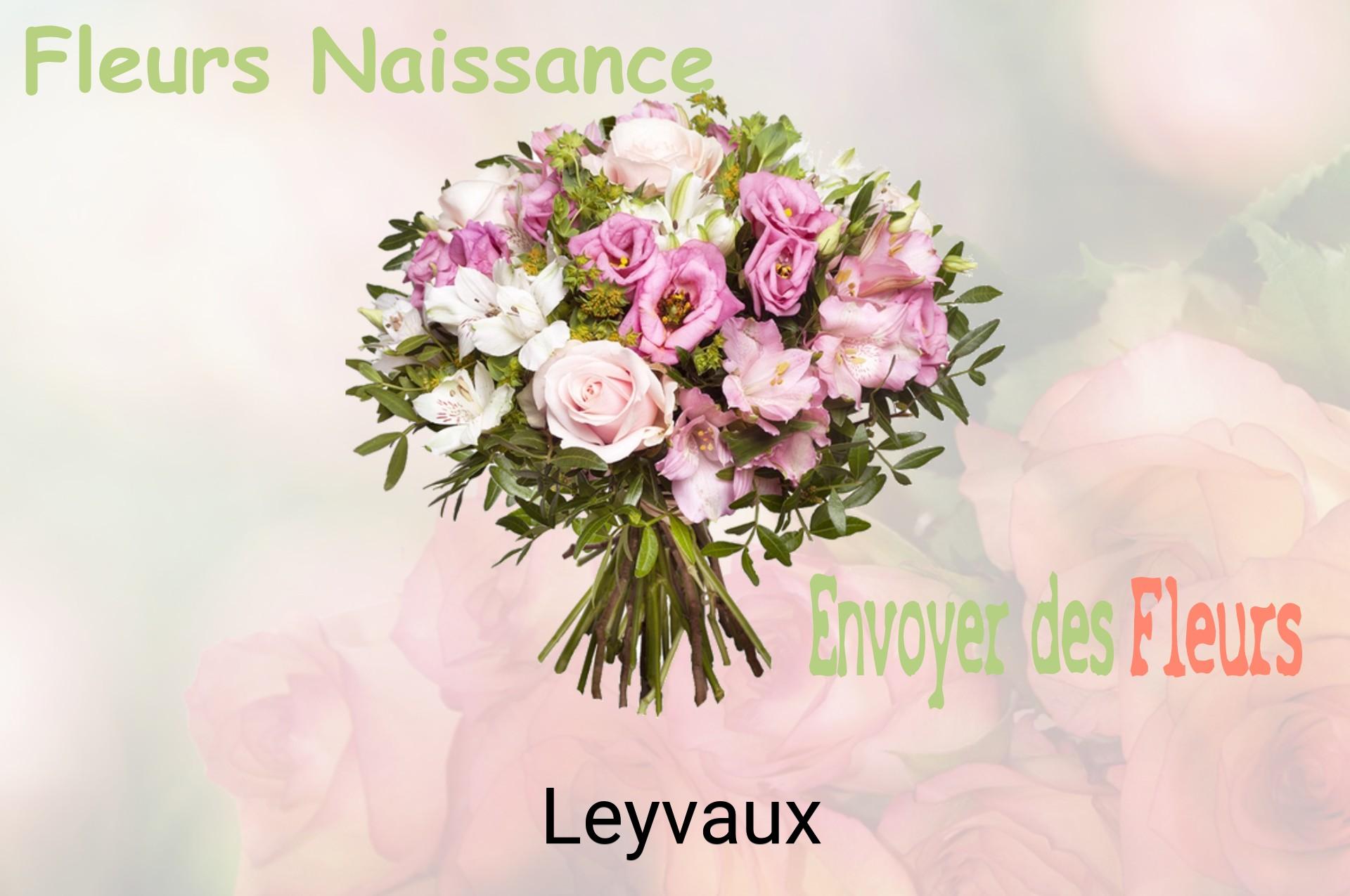Bouquet de fleurs de naissance livré à Leyvaux
